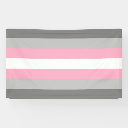 Demigirl Flag (Demi Girl Pride) (genderidentiteit) Spandoek (Horizontaal)