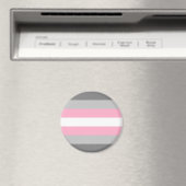 Demigirl Pride Flag Magneet (Insitu (Vaatwasser))
