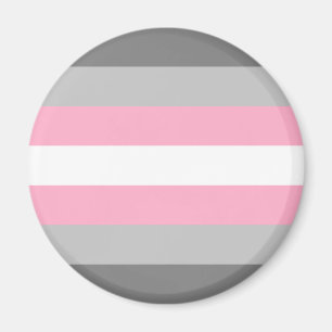 Demigirl Pride Flag Magneet