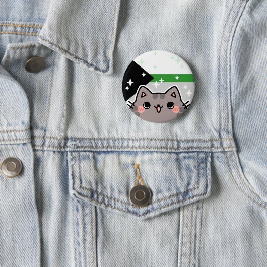Demiromantische LGBT Pride Flag Cat Button (In situ)