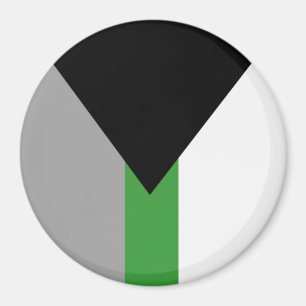 Demiromantische Pride-vlag Magneet
