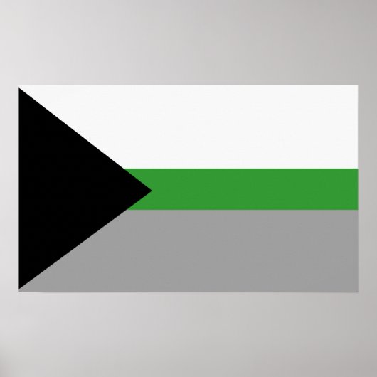 Demiromantische trots poster (Voorkant)