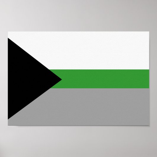 Demiromantische trots poster (Voorkant)