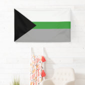 Demiromantische trots spandoek (Insitu)