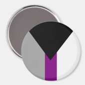 Demiseksuele Pride-vlag Magneet (Voorkant / Achterkant)