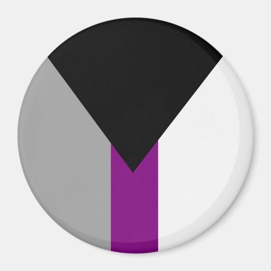 Demiseksuele Pride-vlag Magneet (Voorkant)