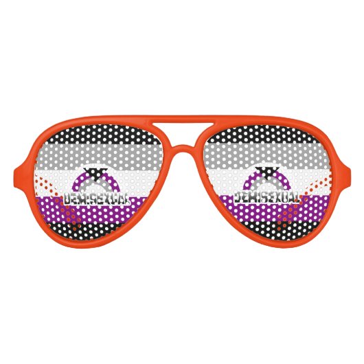 DEMISEXUELE REGENBOOG AVIATOR ZONNEBRIL (Voorkant)