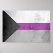 DEMISEXUT PRIDE FLAG POSTER (Voorkant)