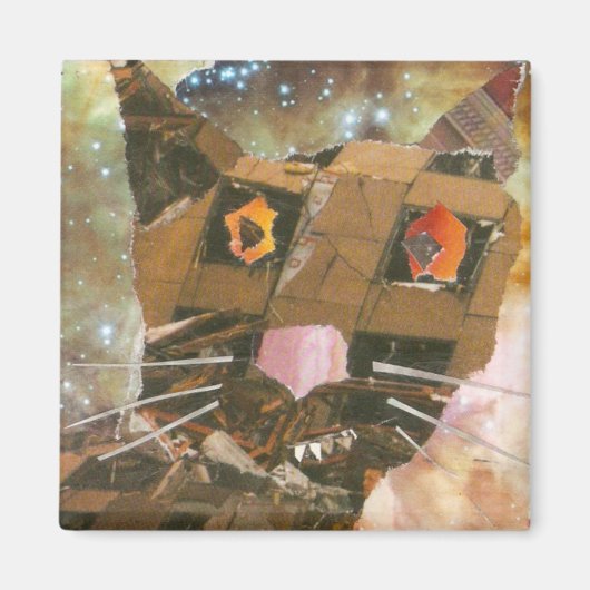 Demo Cat Magneet (Voorkant)