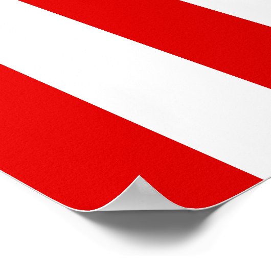 Democraat Donkey Poster (Hoek)