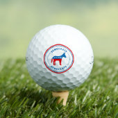 Democraat Golf Balls-Titleist Pro V1 Golfballen (Insitu Shirt)