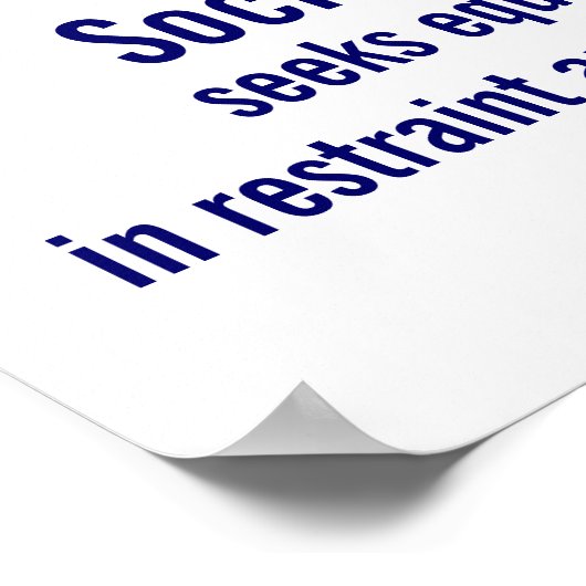 Democratie streeft naar gelijkheid in vrijheid poster (Hoek)