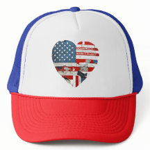 Democratie Verdedig het of verlies het USA vlag vi