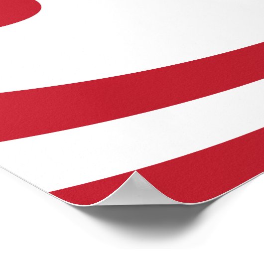 Democratie vereist moed | Vlag | Poster (Hoek)