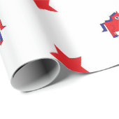 Democratisch verpakkingspapier cadeaupapier (Rol Hoek)