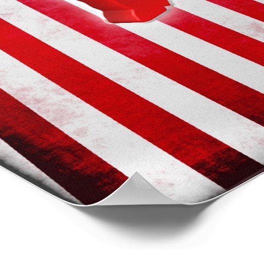 Democratische Donkey Poster (Hoek)