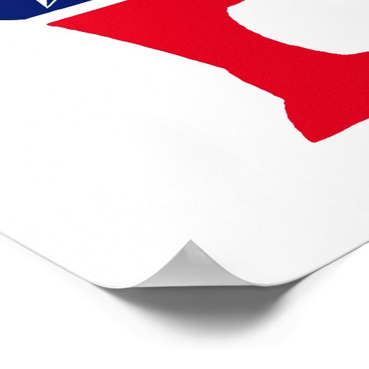 Democratische Donkey Poster (Hoek)