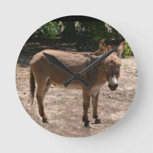 Democratische Donkey Ronde Klok