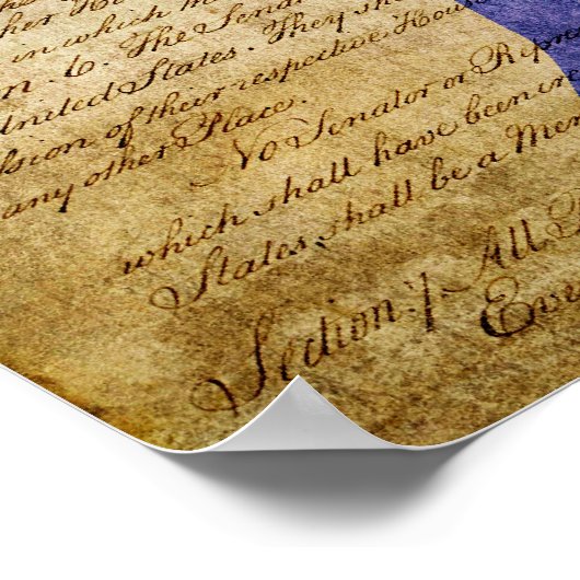 Democratische Partij Poster (Hoek)