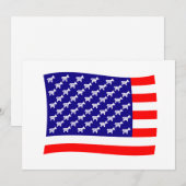 Democratische Stars and Stripes-vlag (Voorkant / Achterkant)