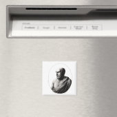 Democrritus Magneet (Insitu (Vaatwasser))