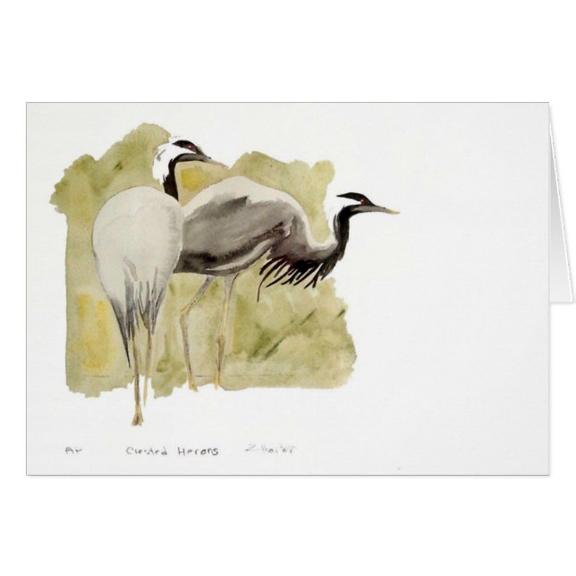 Demoiselle Cranes (Voorkant Horizontaal)