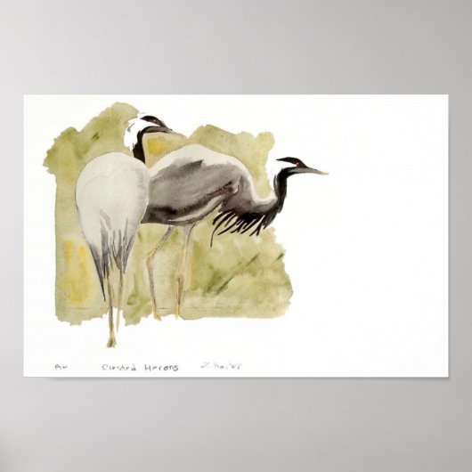 Demoiselle Cranes Poster (Voorkant)