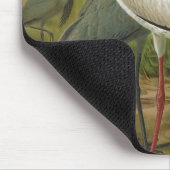 Demoiselle en Siberian Cranes  Bird Muismat (Hoek)