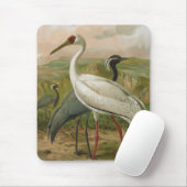 Demoiselle en Siberian Cranes  Bird Muismat (Met muis)