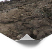 Demolition Derby Poster (Hoek)