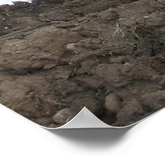 Demolition Derby Poster (Hoek)