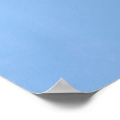 Demonstratieteam voor undervogelvlucht poster (Hoek)