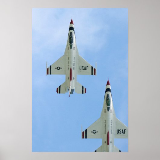 Demonstratieteam voor undervogelvlucht poster (Voorkant)