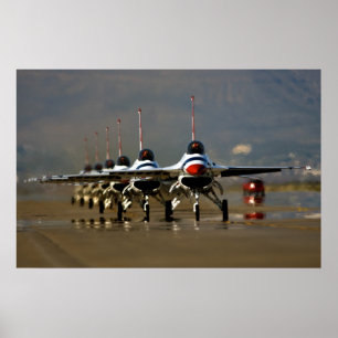 Demonstratieteam voor undervogelvlucht poster