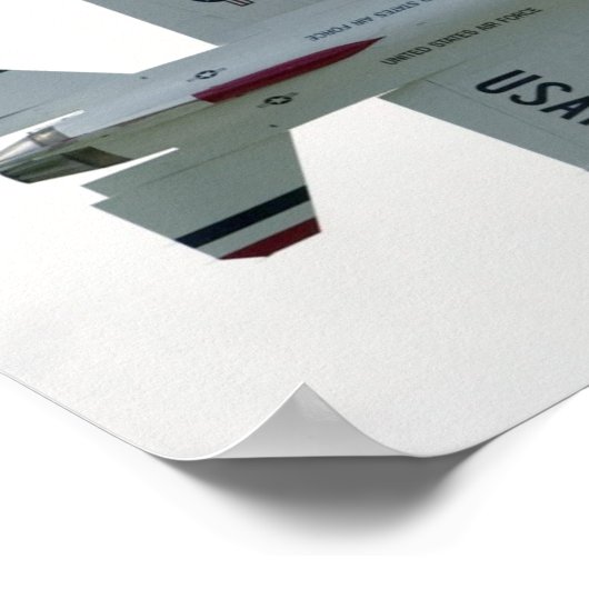 Demonstratieteam voor undervogelvlucht poster (Hoek)