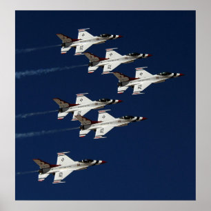 Demonstratieteam voor undervogelvlucht poster