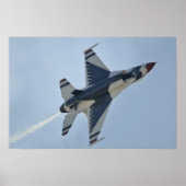 Demonstratieteam voor undervogelvlucht poster (Voorkant)