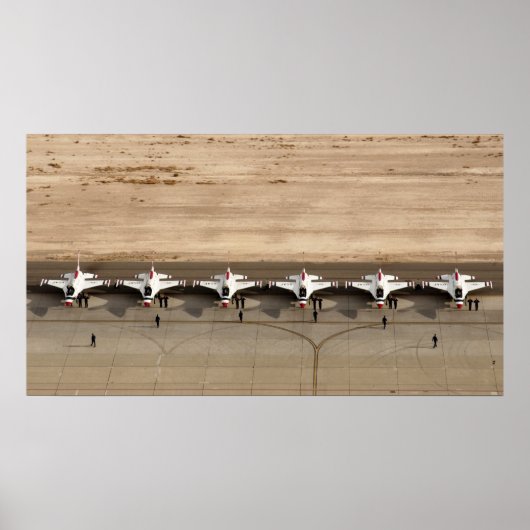 Demonstratieteam voor undervogelvlucht poster (Voorkant)