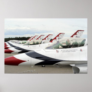 Demonstratieteam voor undervogelvlucht poster