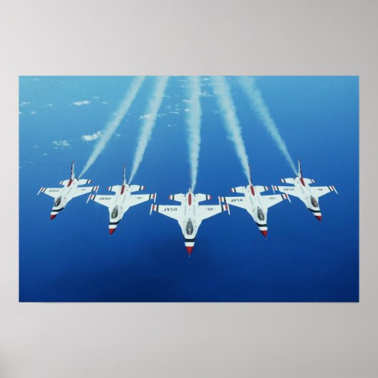 Demonstratieteam voor undervogelvlucht poster (Voorkant)