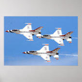 Demonstratieteam voor undervogelvlucht poster (Voorkant)