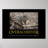 Demotivationeel Poster: overbereikbaar Poster (Voorkant)