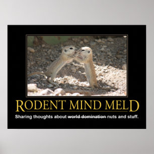 Demotivationeel Poster: Squirrel Mind Meld Poster