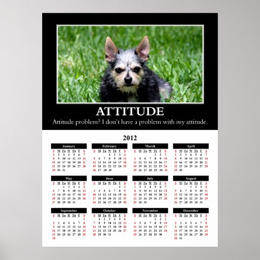 Demotivationele wandkalender 2012: Attitude Poster (Voorkant)