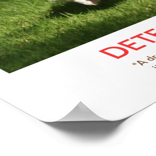 demotiverend poster VOOR DE BEPALING (Hoek)