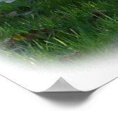 Dempen 9Y098D-012 Poster (Hoek)