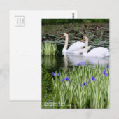 Dempen en iris:Briefkaart Briefkaart (Voorkant / Achterkant)