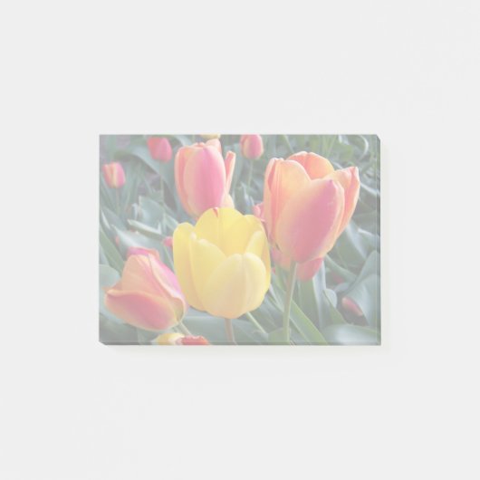 Dempen kleuren in uw eigen foto post-it® notes (Voorkant)