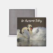Dempen-swans - vandaag Geweldige zijn Magneet (Voorkant / Achterkant)