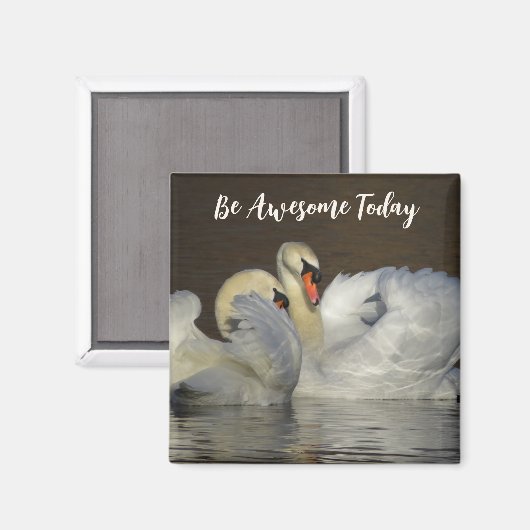 Dempen-swans - vandaag Geweldige zijn Magneet (Voorkant / Achterkant)